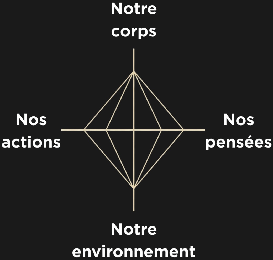 Corps - Actions - Pensées - Environnement