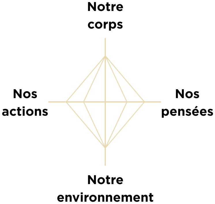 Corps - Actions - Pensées - Environnement